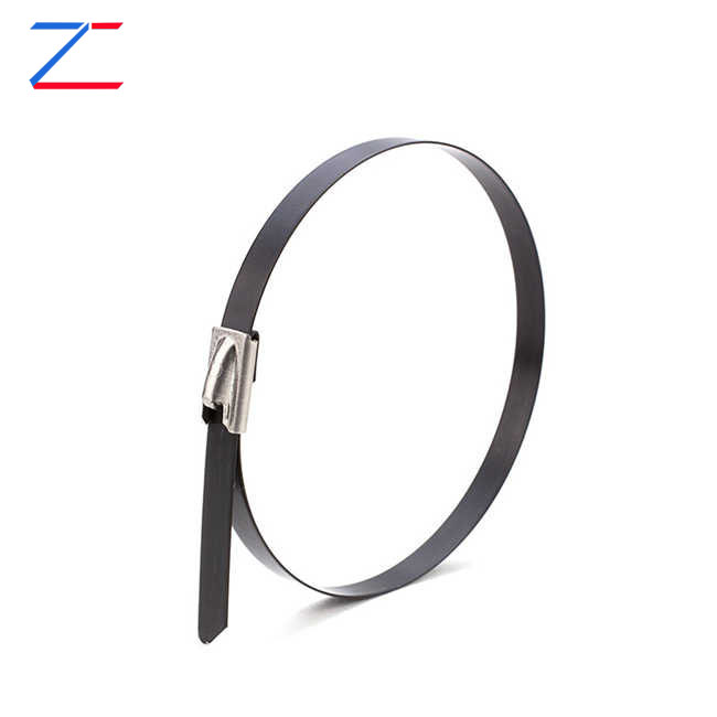 Coated stainless steel cable ties